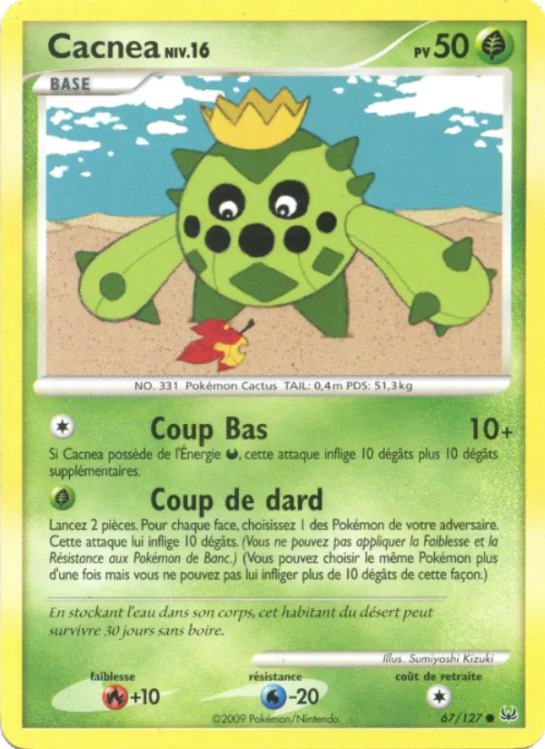 Cacnea #67