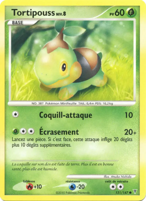 Tortipouss #131