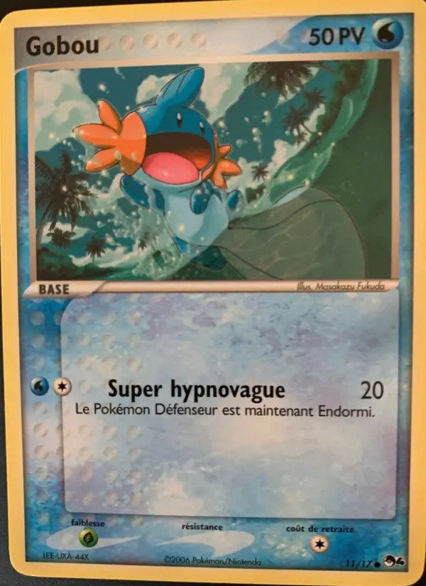 Mudkip #11