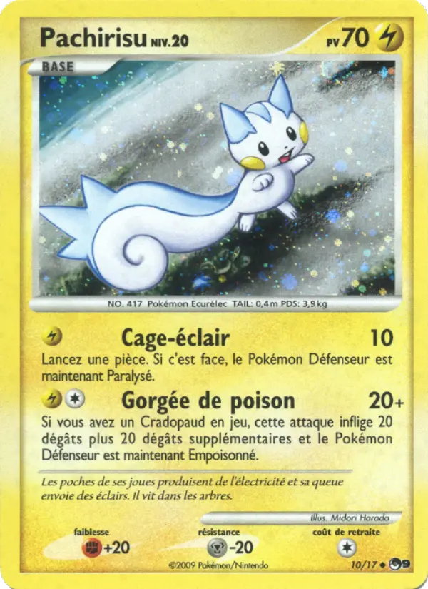 Pachirisu #10