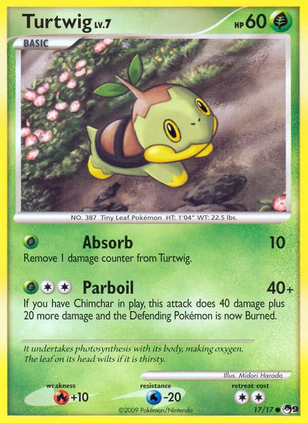 Tortipouss #17