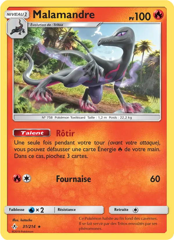 Malamandre #31