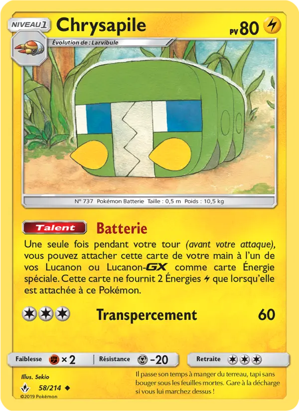 Chrysapile #58