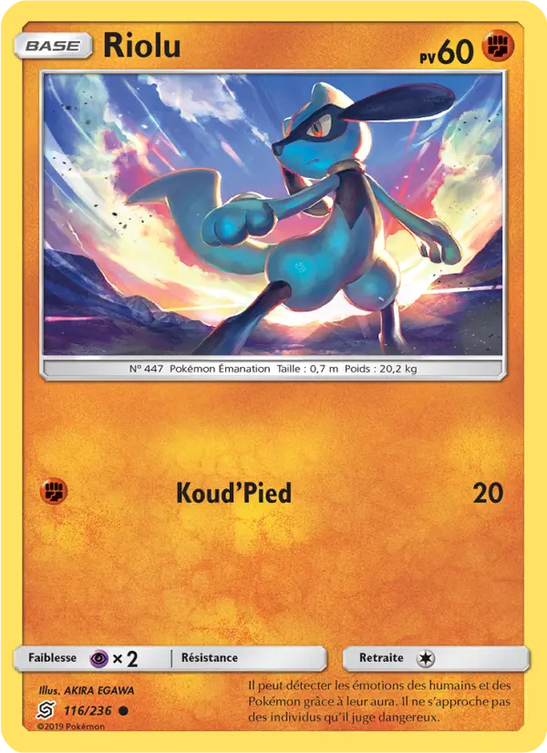 Riolu #116