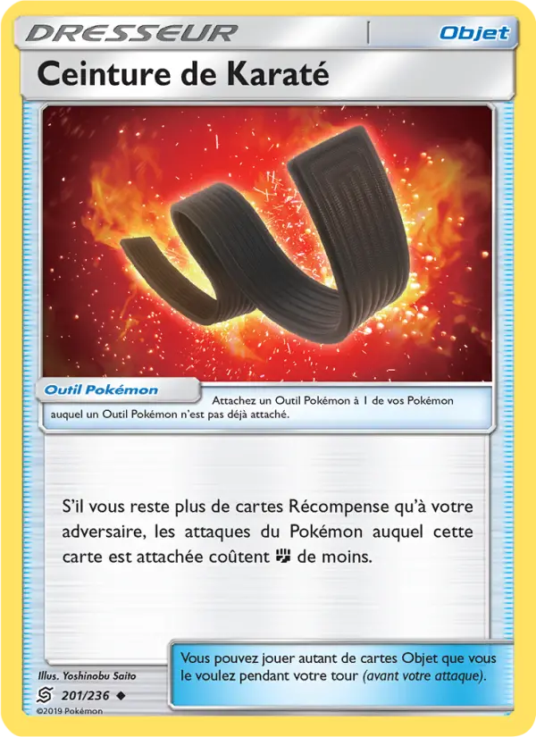 Ceinture de Karaté #201