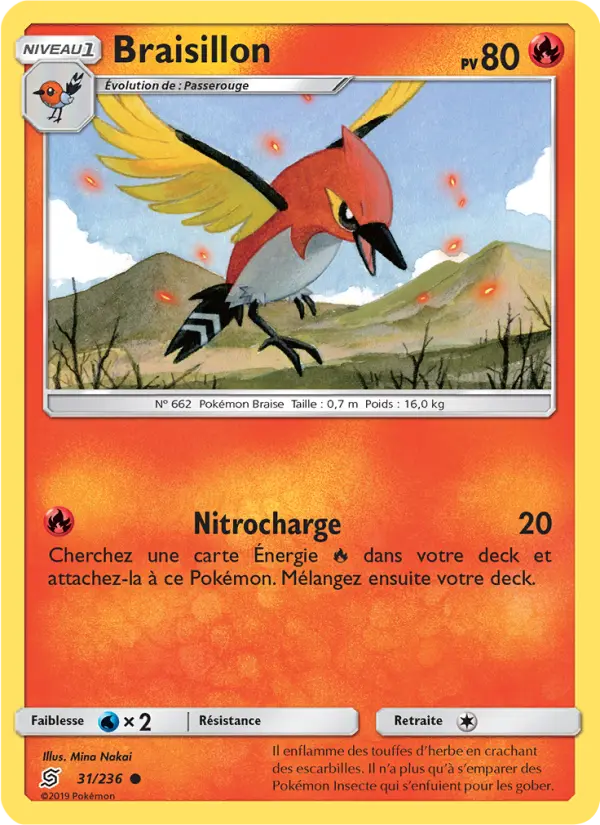 Braisillon #31