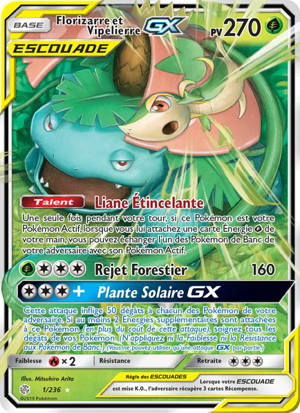 Florizarre et Vipélierre GX #1