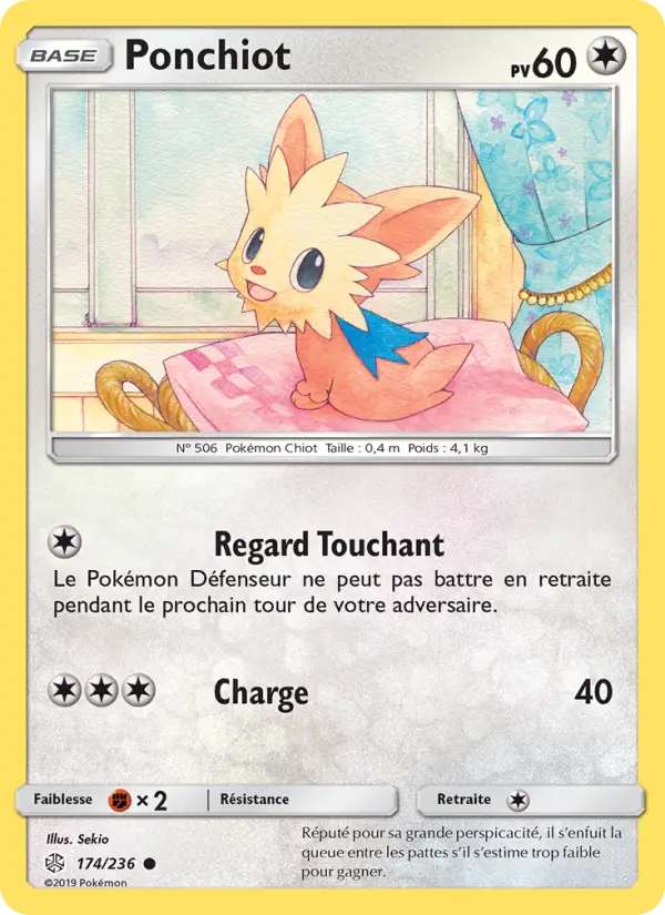 Lillipup #174