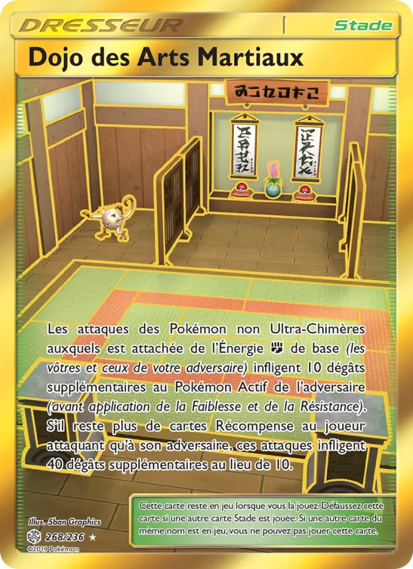 Dojo des Arts Martiaux #268