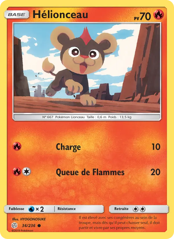 Hélionceau #36