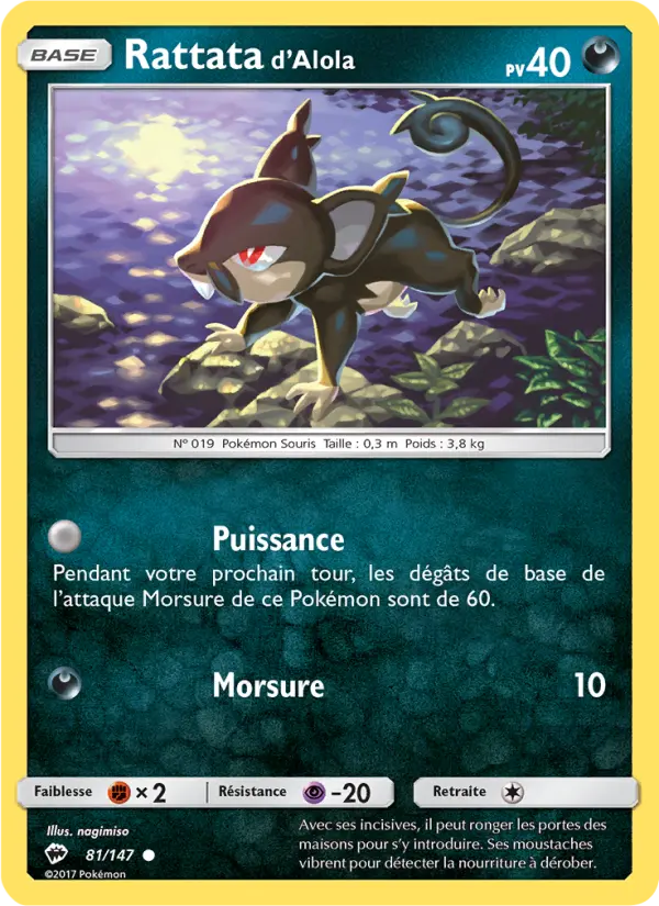 Rattata d’Alola #81