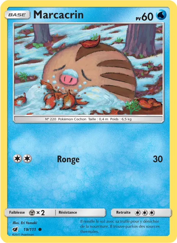 Swinub #19