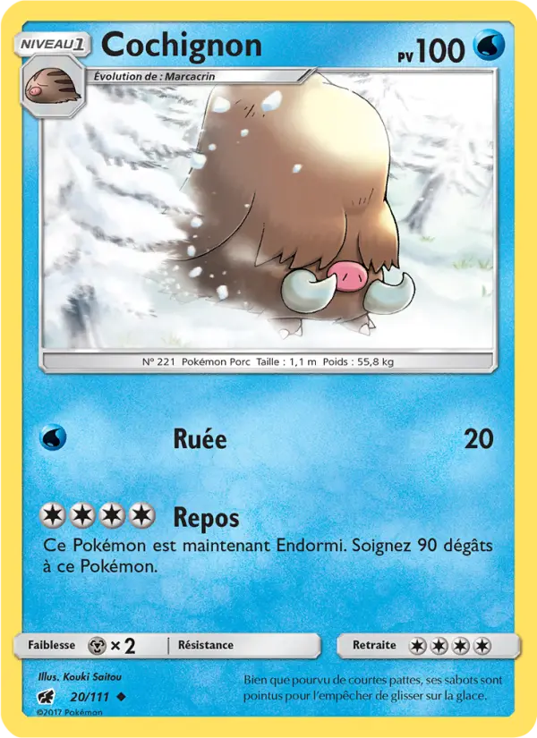Cochignon #20