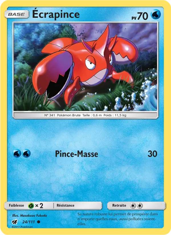 Écrapince #24