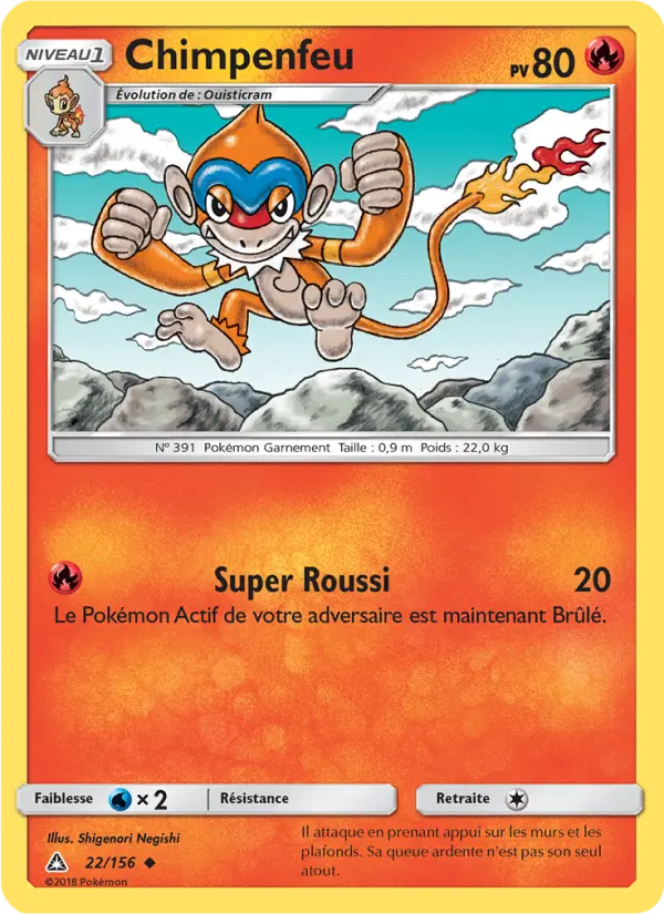 Chimpenfeu #22