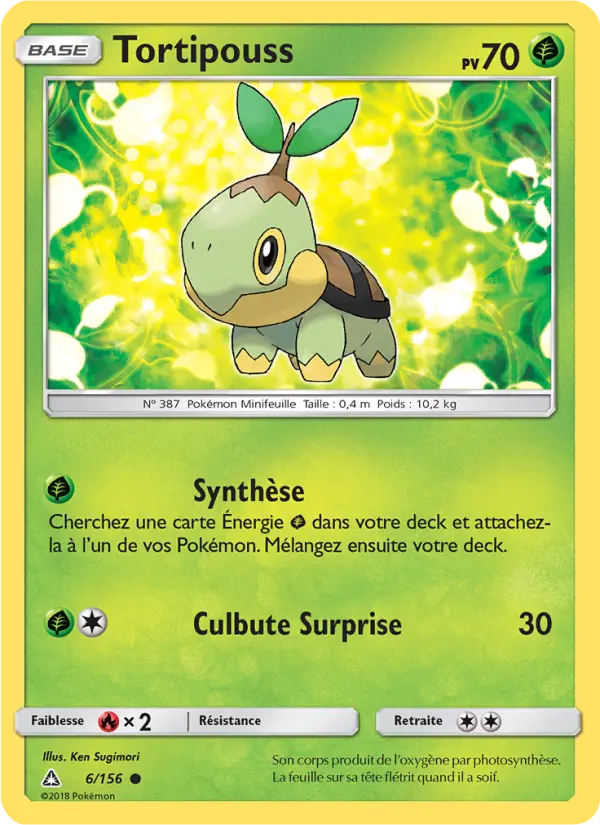 Turtwig #6