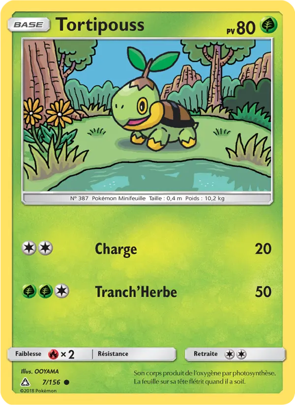 Turtwig #7