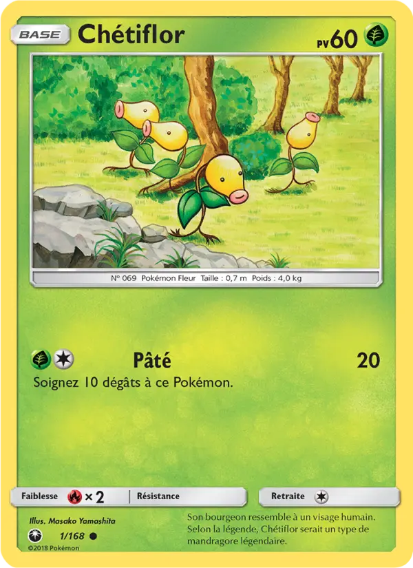 Chetiflor #1