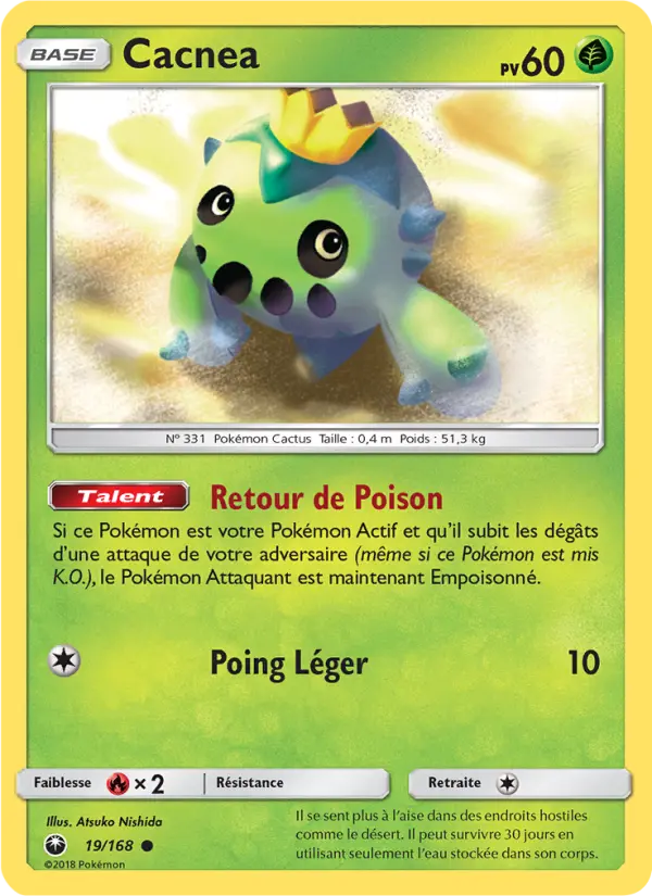 Cacnea #19