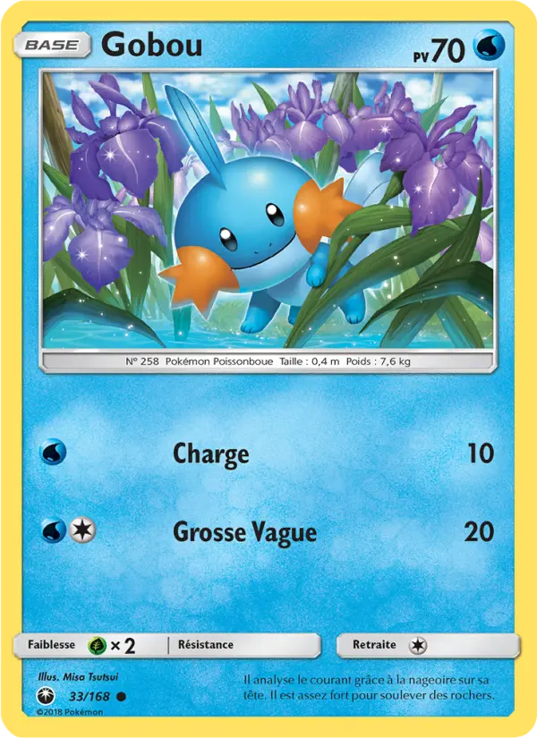 Mudkip #33