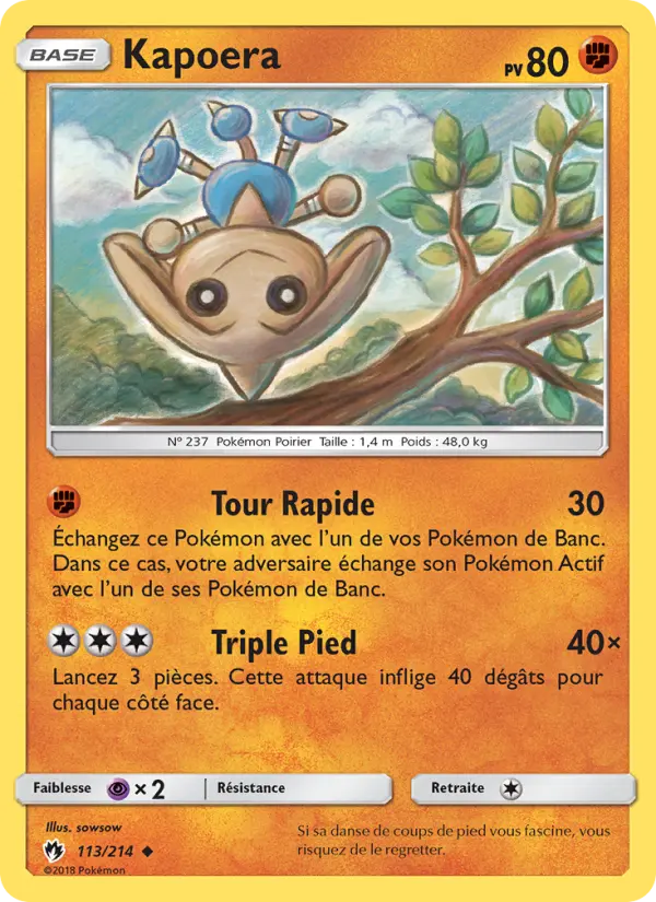 Kapoera #113