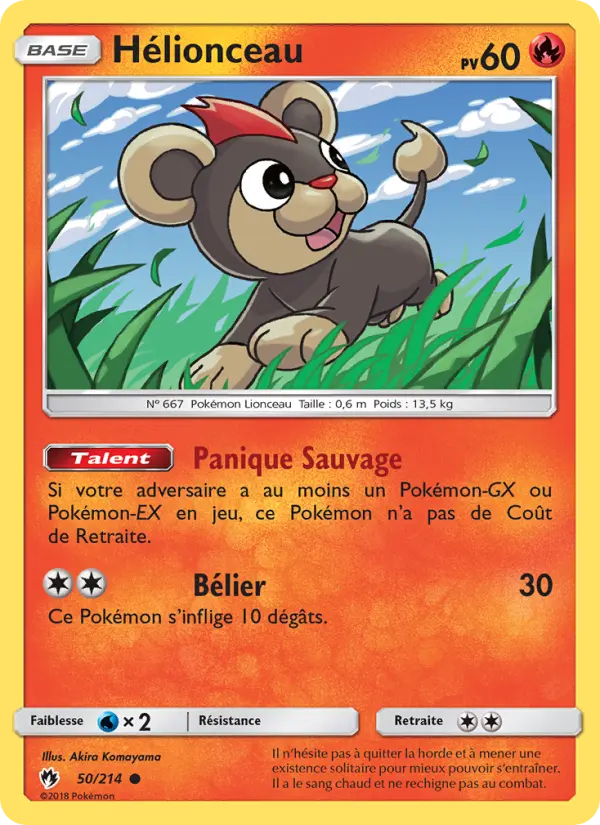 Hélionceau #50