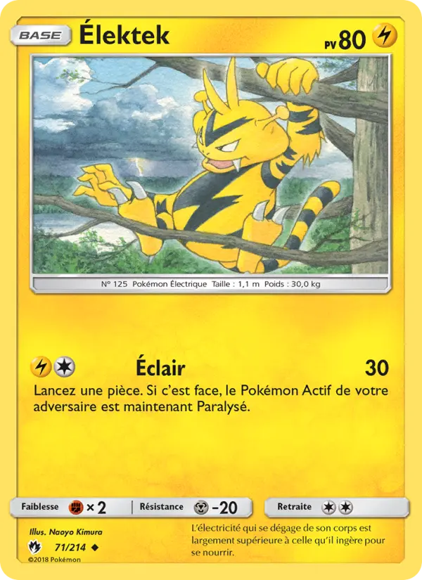 Élektek #71
