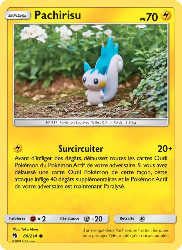 Pachirisu #80