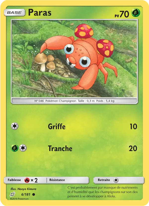 Paras #6