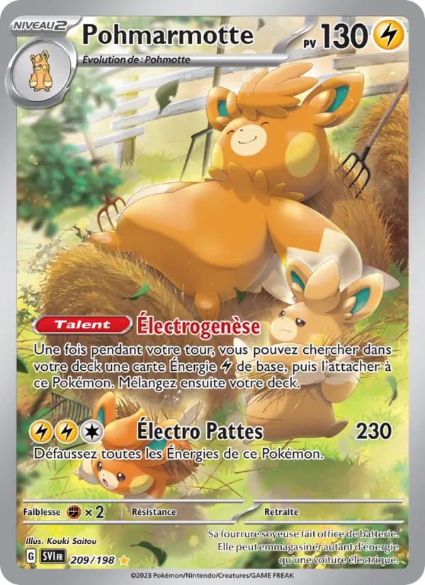 Pohmarmotte #209