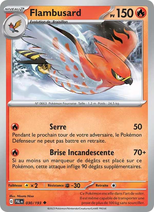 Flambusard #030