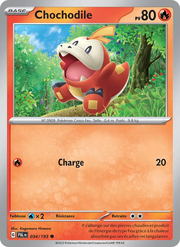 Chochodile #034