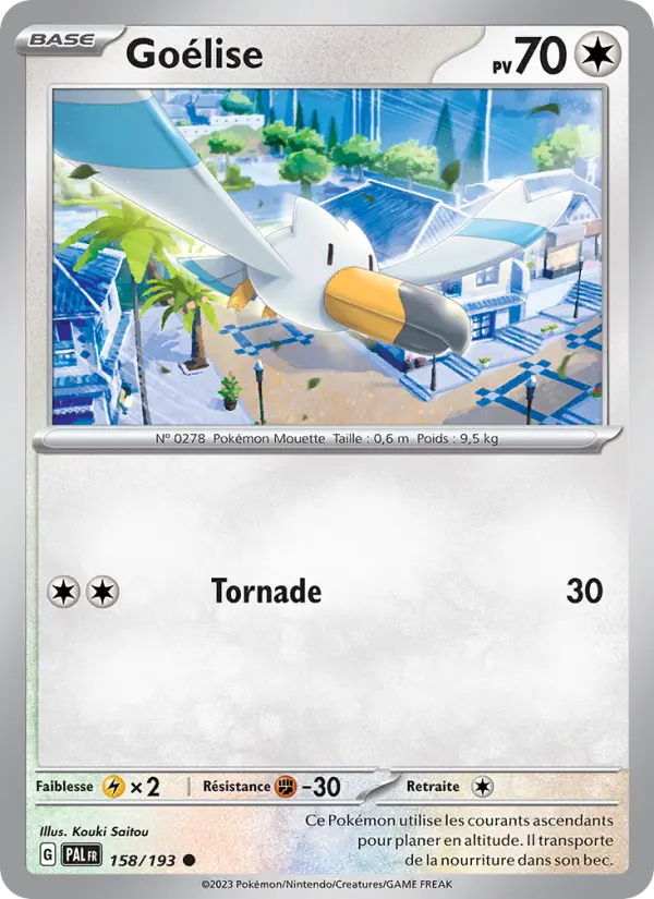 Wingull #158