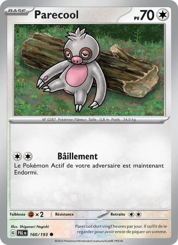 Parecool #160