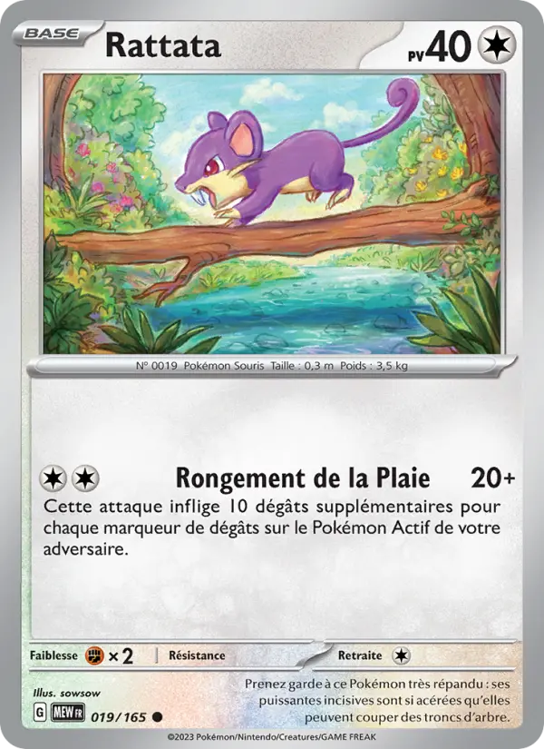 Rattata #019