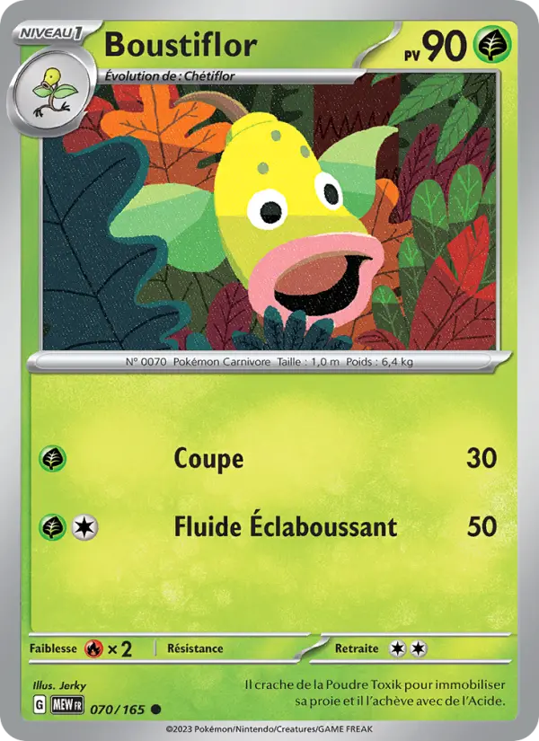 Boustiflor #070