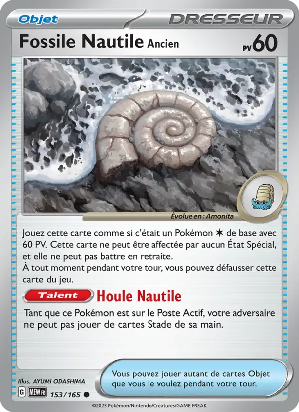 Fossile Nautile Ancien #153 — 151 (Reverse Holo)