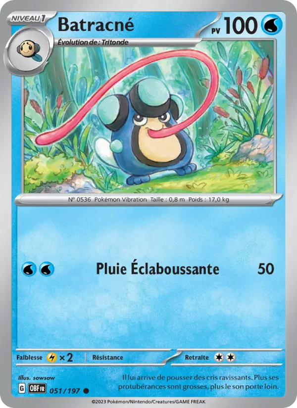 Batracné #051