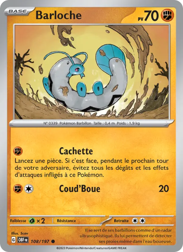 Barloche #108