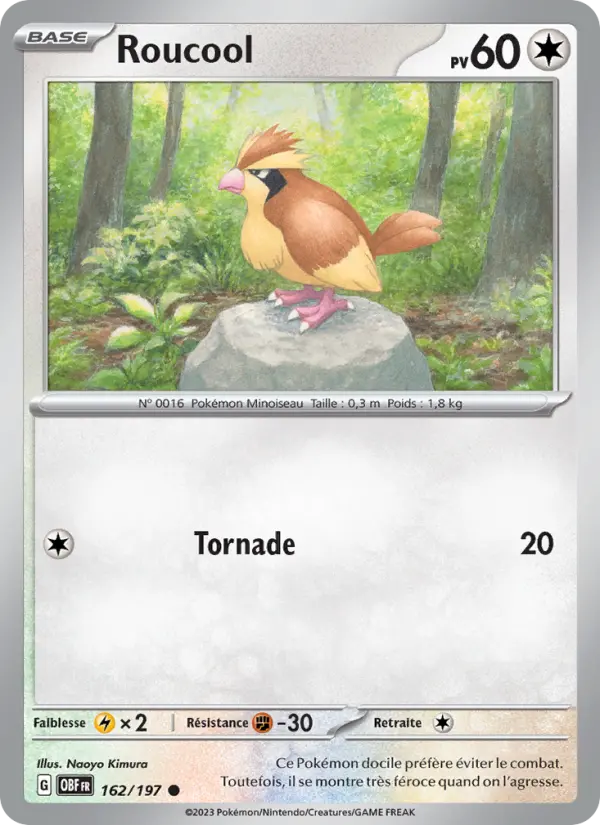 Pidgey #162