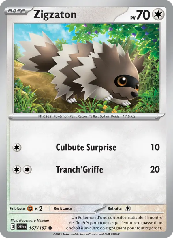 Zigzagoon #167