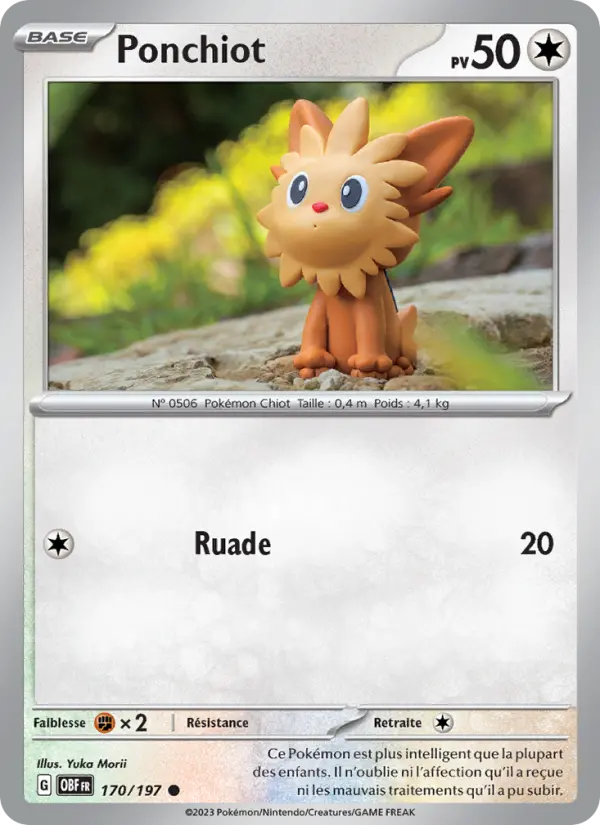Lillipup #170