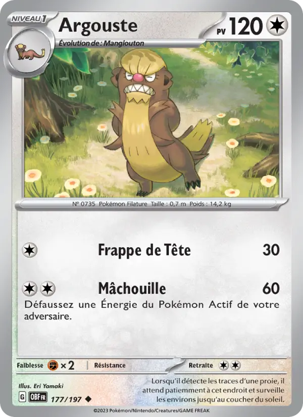 Argouste #177