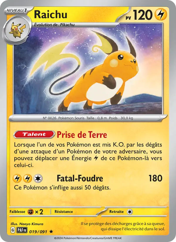 Raichu #019