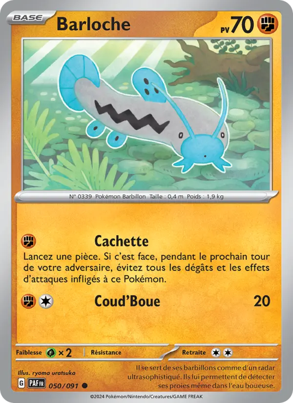 Barloche #050