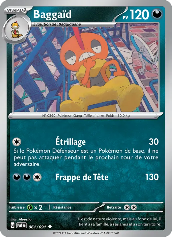 Baggaïd #061