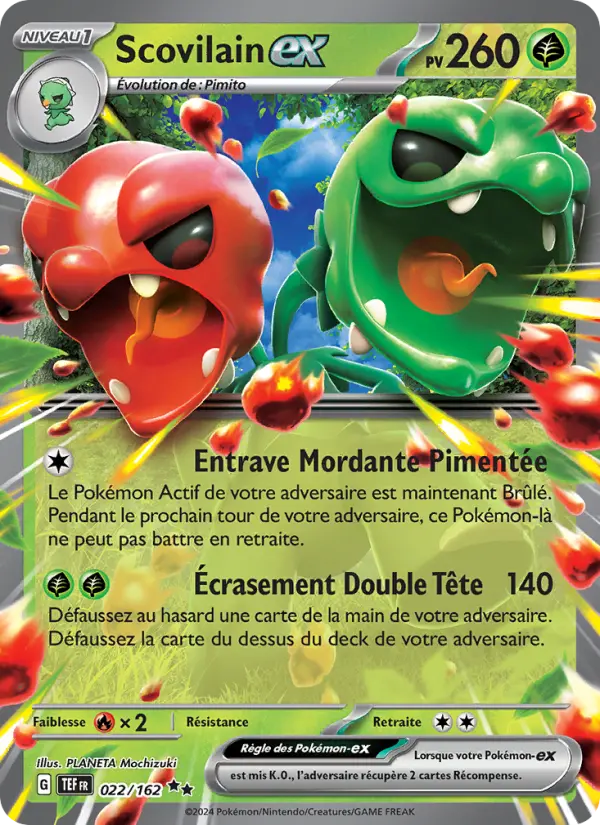 Scovilain ex #022