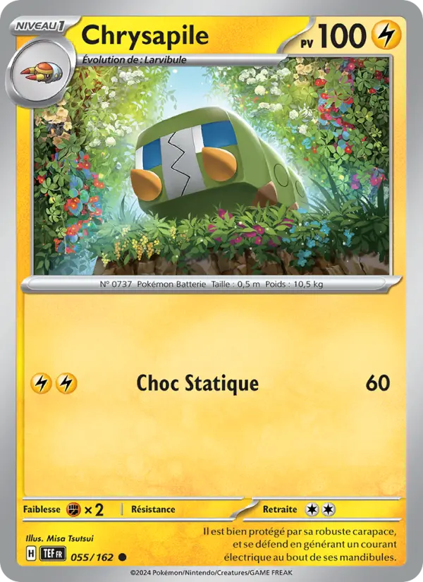 Chrysapile #055