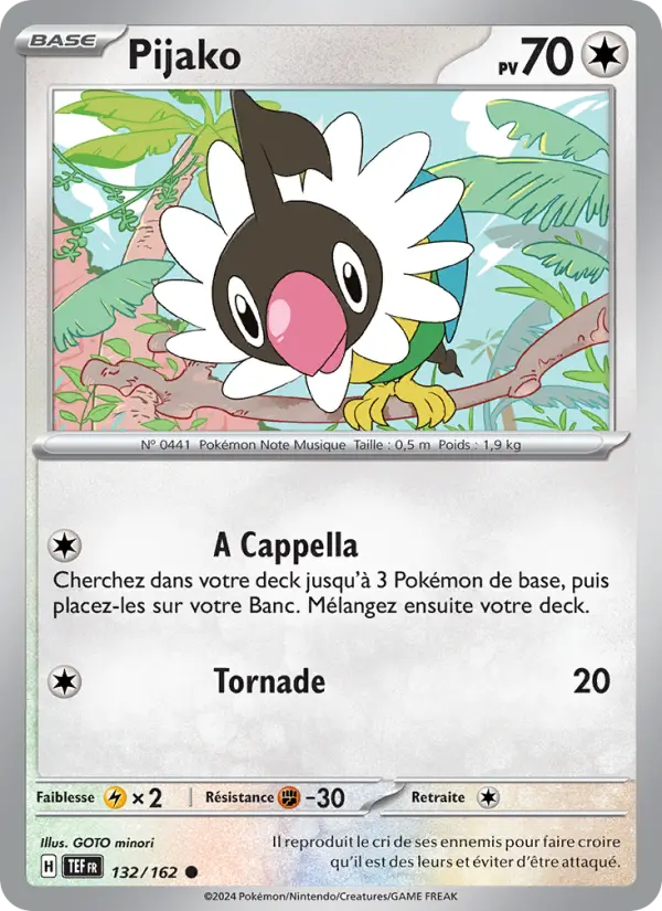Pijako #132