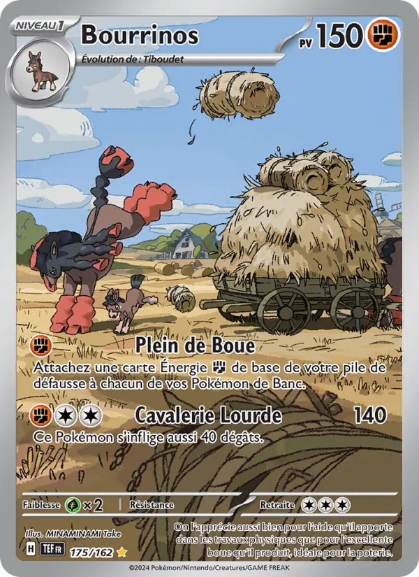 Bourrinos #175